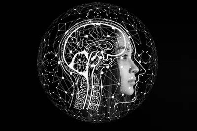 Computer science tutoring